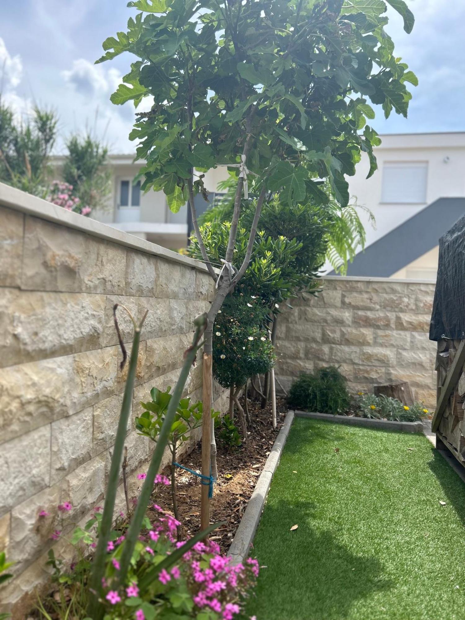 Velebit View Apartment Vir Luaran gambar