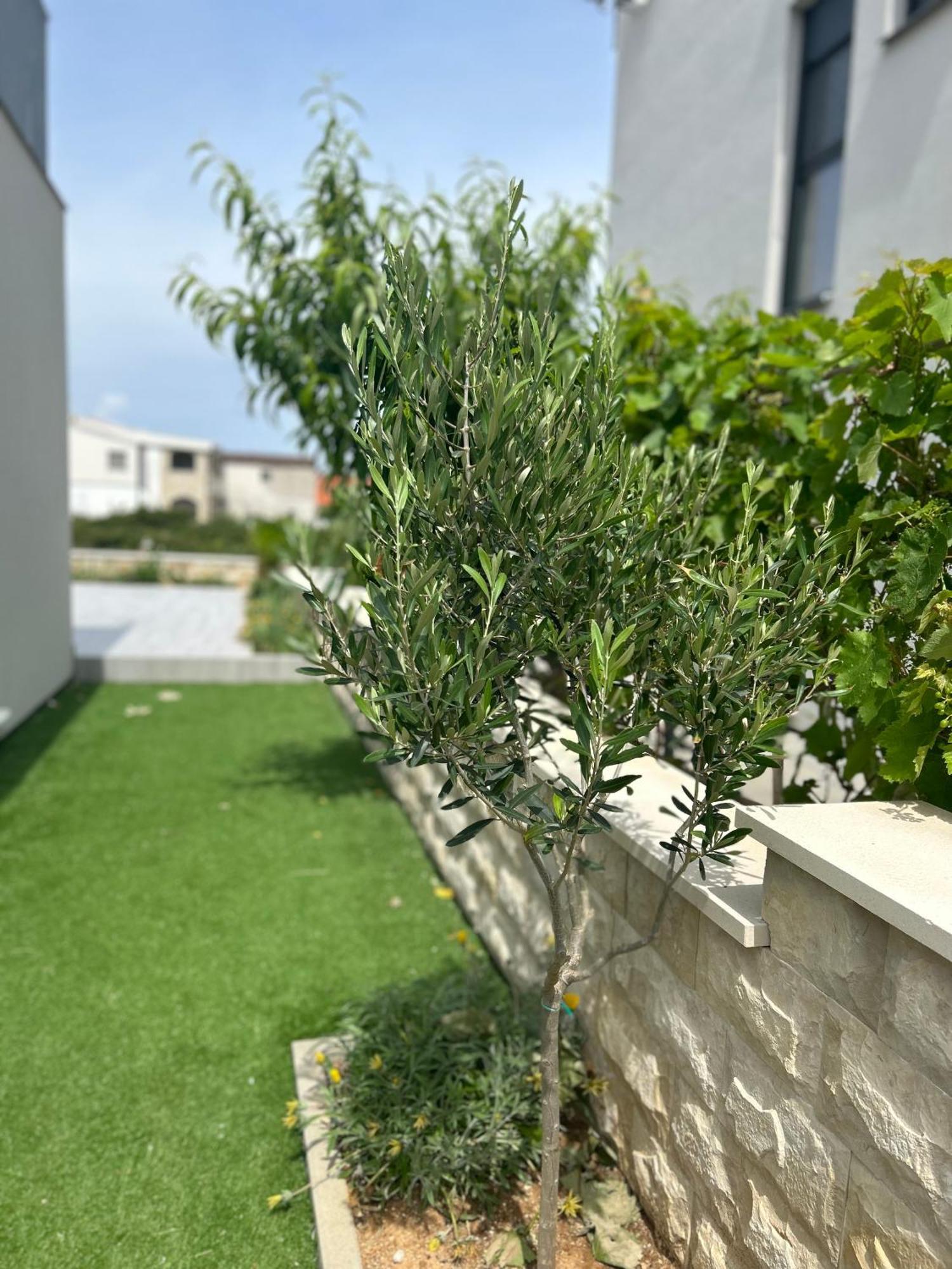 Velebit View Apartment Vir Luaran gambar